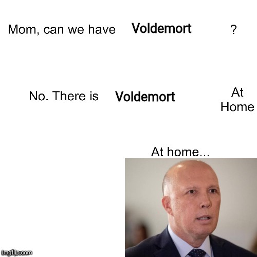 Mom can we have | Voldemort; Voldemort | image tagged in mom can we have | made w/ Imgflip meme maker