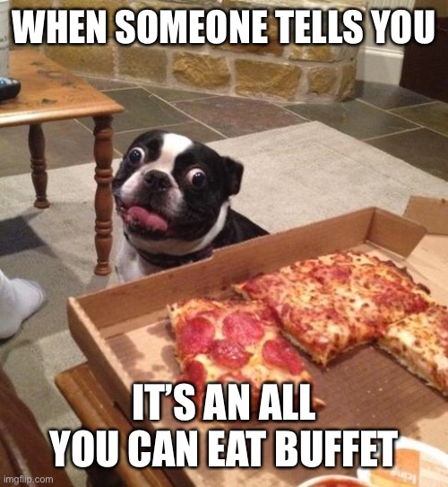 Hungry Pizza Dog | WHEN SOMEONE TELLS YOU; IT’S AN ALL YOU CAN EAT BUFFET | image tagged in hungry pizza dog | made w/ Imgflip meme maker