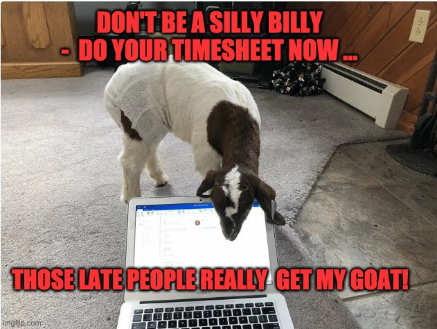 Goat timesheet reminder | DON'T BE A SILLY BILLY -  DO YOUR TIMESHEET NOW ... THOSE LATE PEOPLE REALLY  GET MY GOAT! | image tagged in goat timesheet reminder,timesheet meme,timesheet reminder,get my goat,funny meme | made w/ Imgflip meme maker