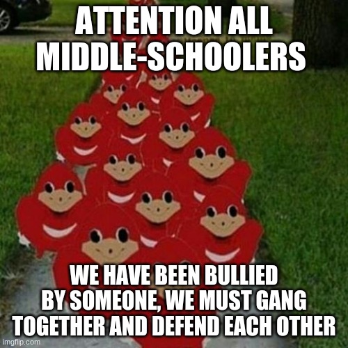 Ugandan knuckles army | ATTENTION ALL MIDDLE-SCHOOLERS; WE HAVE BEEN BULLIED BY SOMEONE, WE MUST GANG TOGETHER AND DEFEND EACH OTHER | image tagged in ugandan knuckles army | made w/ Imgflip meme maker