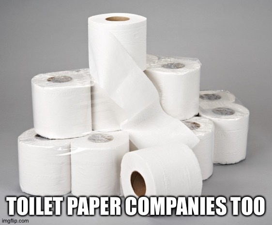 toilet paper | TOILET PAPER COMPANIES TOO | image tagged in toilet paper | made w/ Imgflip meme maker