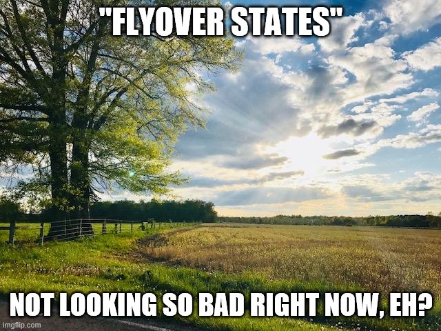 flyover states not looking so bad, at least we can go outside | "FLYOVER STATES"; NOT LOOKING SO BAD RIGHT NOW, EH? | image tagged in covid-19,corona virus,cononavirus,lockdown,country,quarantine | made w/ Imgflip meme maker
