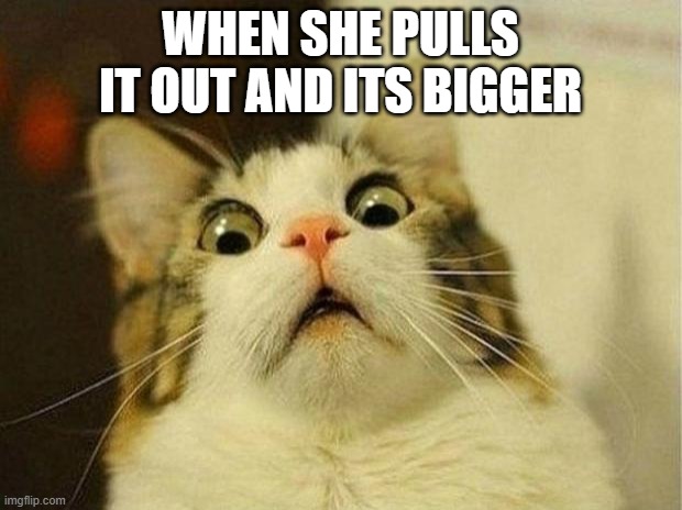 Scared Cat Meme | WHEN SHE PULLS IT OUT AND ITS BIGGER | image tagged in memes,scared cat | made w/ Imgflip meme maker