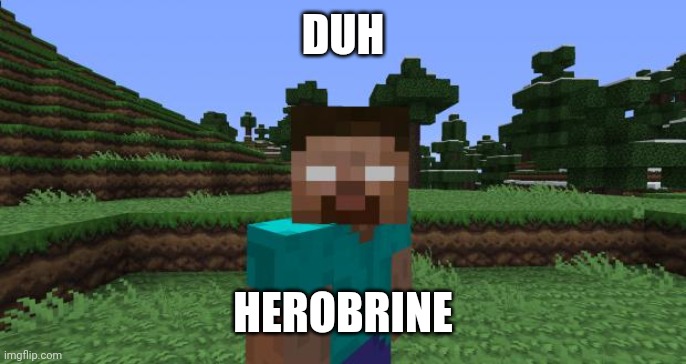 Herobrine | DUH HEROBRINE | image tagged in herobrine | made w/ Imgflip meme maker