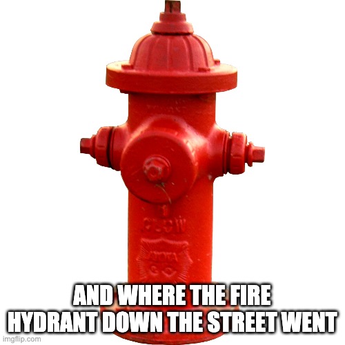 Fire hydrant  | AND WHERE THE FIRE HYDRANT DOWN THE STREET WENT | image tagged in fire hydrant | made w/ Imgflip meme maker