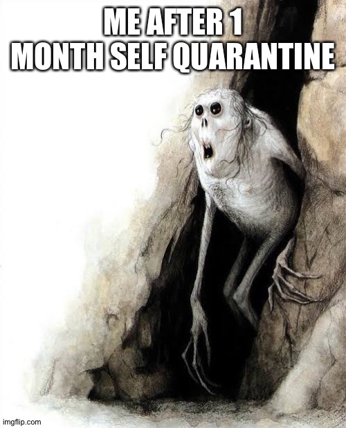 Going from cave | ME AFTER 1 MONTH SELF QUARANTINE | image tagged in going from cave | made w/ Imgflip meme maker