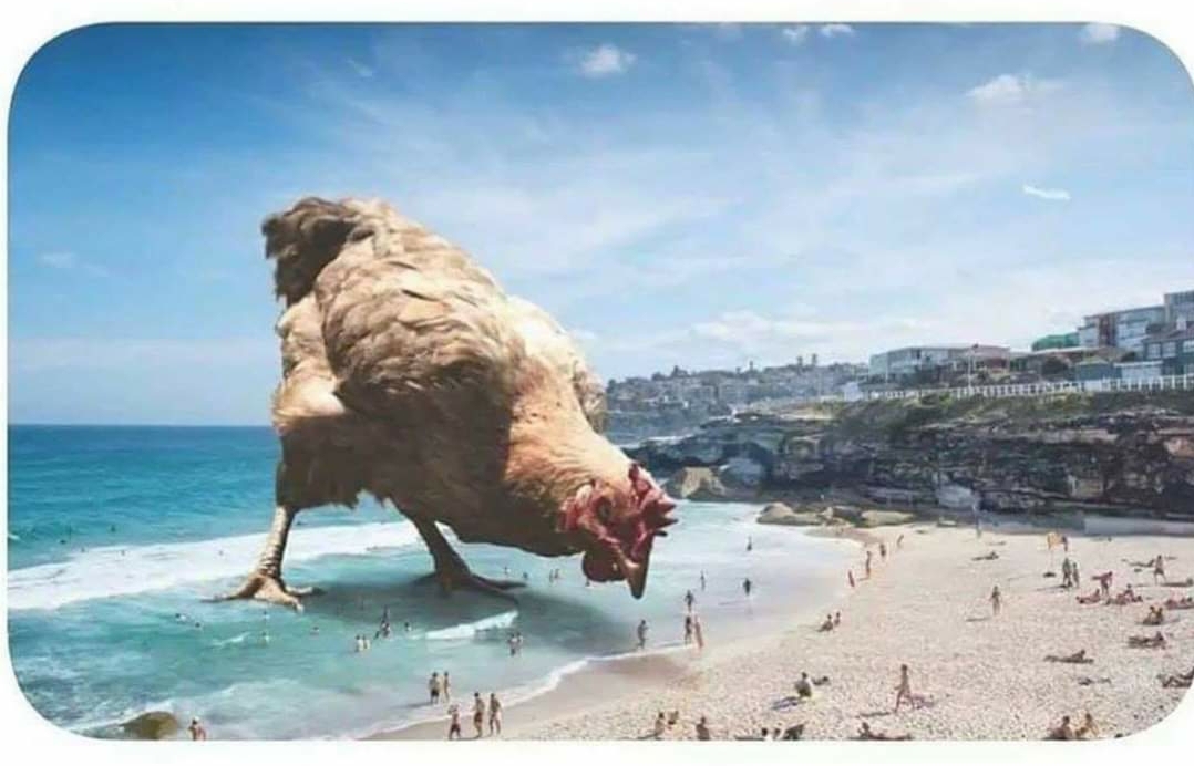 Invasion of the 100 foot chicken Blank Meme Template