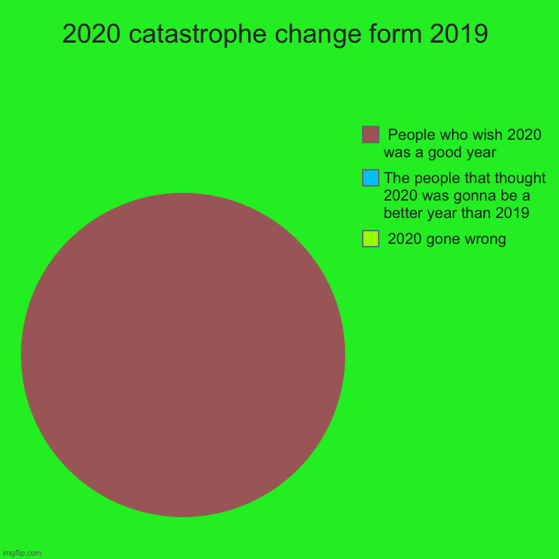 2020 catastrophe change form 2019 |  2020 gone wrong , The people that thought 2020 was gonna be a better year than 2019 ,  People who wish  | image tagged in charts,pie charts | made w/ Imgflip chart maker