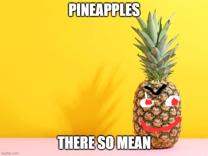 mean pineapple | PINEAPPLES; THERE SO MEAN | image tagged in pineapple,evil | made w/ Imgflip meme maker