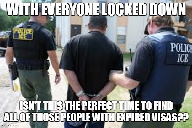 WITH EVERYONE LOCKED DOWN; ISN'T THIS THE PERFECT TIME TO FIND ALL OF THOSE PEOPLE WITH EXPIRED VISAS?? | image tagged in ice | made w/ Imgflip meme maker