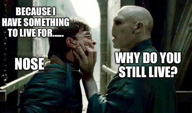 Voldemort and Harry | BECAUSE I HAVE SOMETHING TO LIVE FOR...... NOSE; WHY DO YOU STILL LIVE? | image tagged in voldemort and harry | made w/ Imgflip meme maker