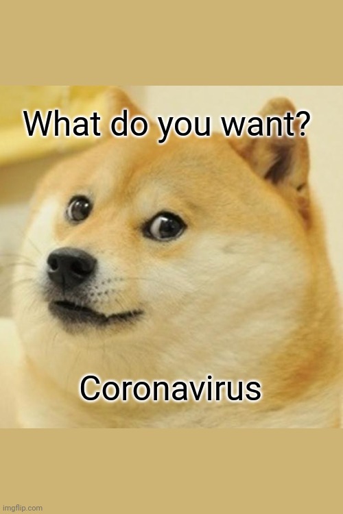 Doge Meme | What do you want? Coronavirus | image tagged in memes,doge | made w/ Imgflip meme maker