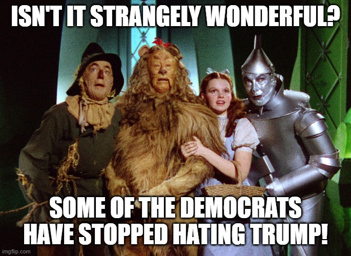 wizard of oz | ISN'T IT STRANGELY WONDERFUL? SOME OF THE DEMOCRATS HAVE STOPPED HATING TRUMP! | image tagged in wizard of oz | made w/ Imgflip meme maker