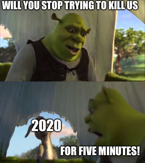 Could You Stop For Five Minutes | WILL YOU STOP TRYING TO KILL US; 2020; FOR FIVE MINUTES! | image tagged in could you stop for five minutes | made w/ Imgflip meme maker