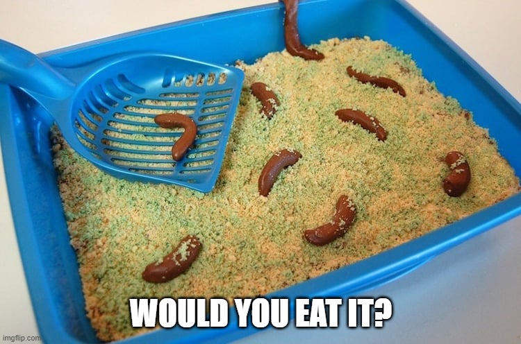Kitty Litter Cake | WOULD YOU EAT IT? | image tagged in funny food | made w/ Imgflip meme maker