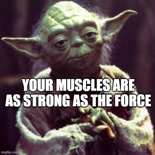 Force is strong | YOUR MUSCLES ARE AS STRONG AS THE FORCE | image tagged in force is strong | made w/ Imgflip meme maker