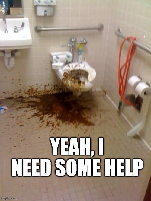 Girls poop too | YEAH, I NEED SOME HELP | image tagged in girls poop too | made w/ Imgflip meme maker