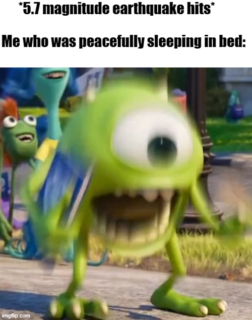 S H O O K | *5.7 magnitude earthquake hits*                                                          
Me who was peacefully sleeping in bed: | image tagged in mike wazowski,earthquake,shook | made w/ Imgflip meme maker