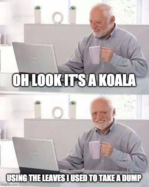 Hide the Pain Harold Meme | OH LOOK IT'S A KOALA USING THE LEAVES I USED TO TAKE A DUMP | image tagged in memes,hide the pain harold | made w/ Imgflip meme maker