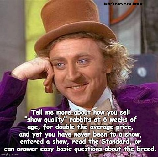 Creepy Condescending Wonka Meme | Bailey's Heavy Metal Bunnies; Tell me more about how you sell "show quality" rabbits at 6 weeks of age, for double the average price, and yet you have never been to a show, entered a show, read the Standard, or can answer easy basic questions about the breed. | image tagged in memes,creepy condescending wonka | made w/ Imgflip meme maker
