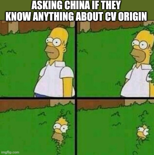 Homer Simpson in Bush - Large | ASKING CHINA IF THEY KNOW ANYTHING ABOUT CV ORIGIN | image tagged in homer simpson in bush - large | made w/ Imgflip meme maker