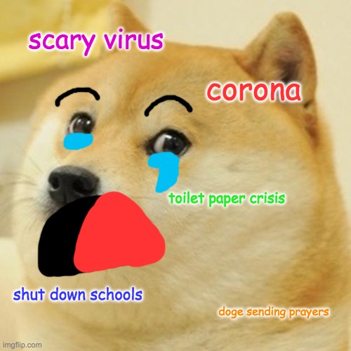 Doge Meme | scary virus; corona; toilet paper crisis; shut down schools; doge sending prayers | image tagged in memes,doge | made w/ Imgflip meme maker