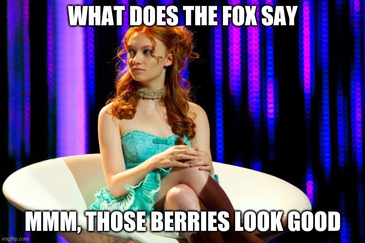WHAT DOES THE FOX SAY; MMM, THOSE BERRIES LOOK GOOD | image tagged in hunger games,happy hunger games,the hunger games | made w/ Imgflip meme maker
