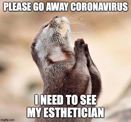 animal praying | PLEASE GO AWAY CORONAVIRUS; I NEED TO SEE MY ESTHETICIAN | image tagged in animal praying | made w/ Imgflip meme maker