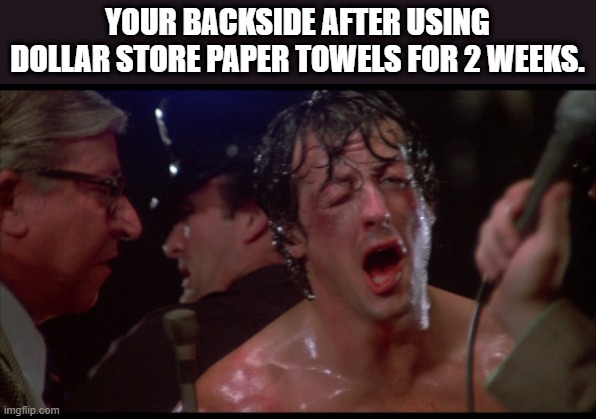 Rocky Balboa | YOUR BACKSIDE AFTER USING DOLLAR STORE PAPER TOWELS FOR 2 WEEKS. | image tagged in rocky balboa | made w/ Imgflip meme maker