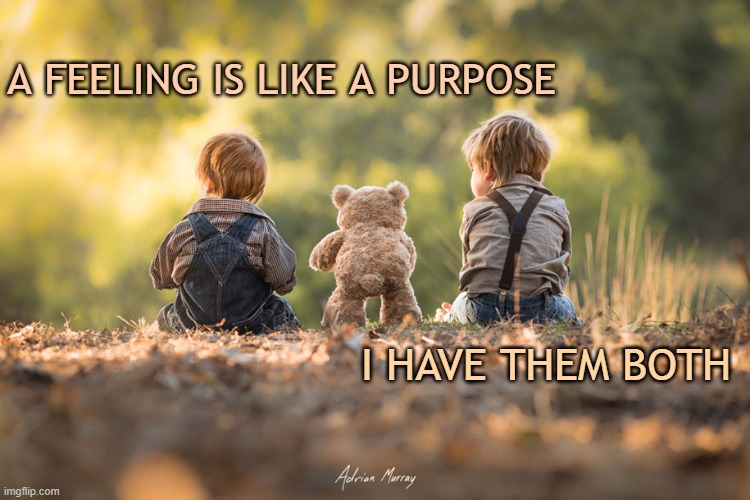 Feeling and Purpose | A FEELING IS LIKE A PURPOSE; I HAVE THEM BOTH | image tagged in purpose,affirmation,feelings,feeling | made w/ Imgflip meme maker
