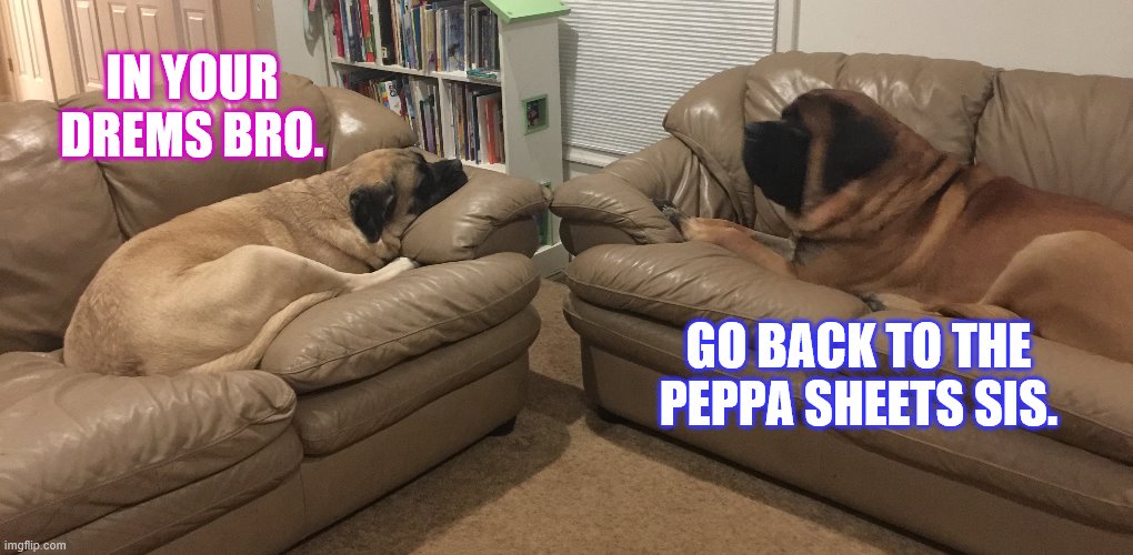 Don't fight you to! | IN YOUR DREMS BRO. GO BACK TO THE PEPPA SHEETS SIS. | image tagged in watch dogs,dogs,dog,funny dogs,funny dog,raydog | made w/ Imgflip meme maker