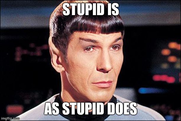 Condescending Spock | STUPID IS AS STUPID DOES | image tagged in condescending spock | made w/ Imgflip meme maker