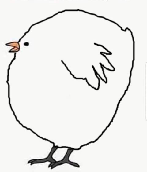 Chonko Birb Blank Meme Template