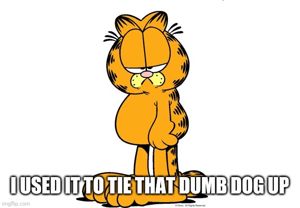 Grumpy Garfield | I USED IT TO TIE THAT DUMB DOG UP | image tagged in grumpy garfield | made w/ Imgflip meme maker