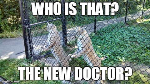 WHO IS THAT? THE NEW DOCTOR? | made w/ Imgflip meme maker