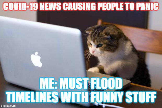 Cat using computer | COVID-19 NEWS CAUSING PEOPLE TO PANIC; ME: MUST FLOOD TIMELINES WITH FUNNY STUFF | image tagged in cat using computer | made w/ Imgflip meme maker
