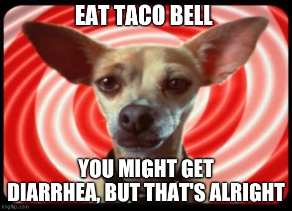 taco bell dog | EAT TACO BELL; YOU MIGHT GET DIARRHEA, BUT THAT'S ALRIGHT | image tagged in taco bell dog | made w/ Imgflip meme maker