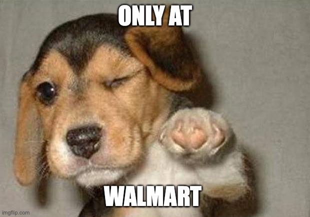 Winking Dog | ONLY AT WALMART | image tagged in winking dog | made w/ Imgflip meme maker