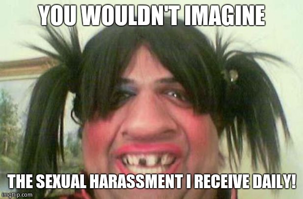 ugly woman with pigtails | YOU WOULDN'T IMAGINE THE SEXUAL HARASSMENT I RECEIVE DAILY! | image tagged in ugly woman with pigtails | made w/ Imgflip meme maker