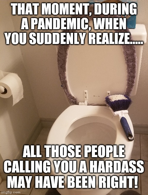 When shit gets real.... | THAT MOMENT, DURING A PANDEMIC, WHEN YOU SUDDENLY REALIZE..... ALL THOSE PEOPLE CALLING YOU A HARDASS MAY HAVE BEEN RIGHT! | image tagged in original meme,memes,pandemic,real shit,holy shit,satire | made w/ Imgflip meme maker