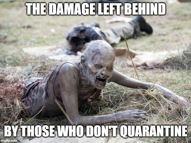 The Walking Dead Crawling Zombie | THE DAMAGE LEFT BEHIND; BY THOSE WHO DON'T QUARANTINE | image tagged in the walking dead crawling zombie | made w/ Imgflip meme maker