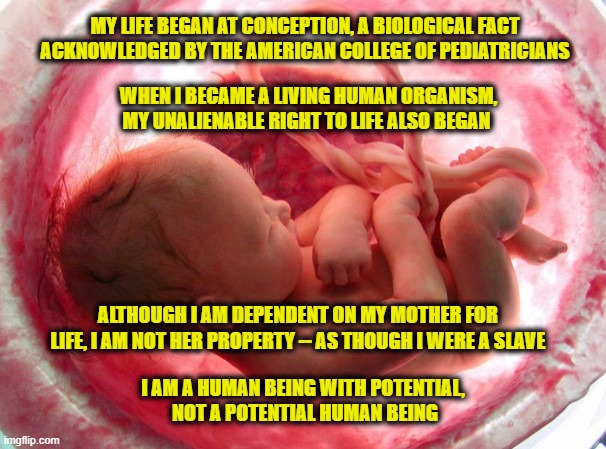 In Defense of the Fetus | MY LIFE BEGAN AT CONCEPTION, A BIOLOGICAL FACT ACKNOWLEDGED BY THE AMERICAN COLLEGE OF PEDIATRICIANS; WHEN I BECAME A LIVING HUMAN ORGANISM, MY UNALIENABLE RIGHT TO LIFE ALSO BEGAN; ALTHOUGH I AM DEPENDENT ON MY MOTHER FOR LIFE, I AM NOT HER PROPERTY -- AS THOUGH I WERE A SLAVE; I AM A HUMAN BEING WITH POTENTIAL, 
NOT A POTENTIAL HUMAN BEING | image tagged in abortion | made w/ Imgflip meme maker