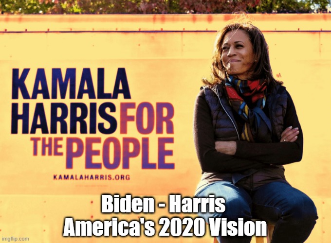 Pax on both houses: Biden - Harris: America's 2020 Vision
