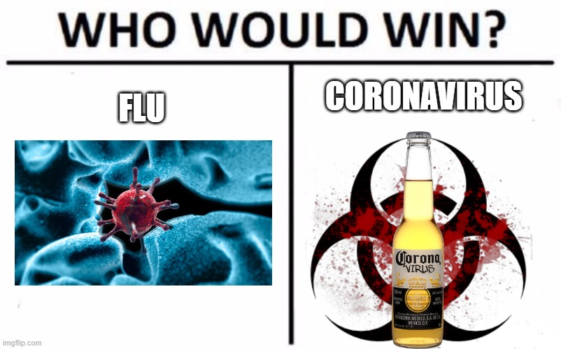 F vs C | CORONAVIRUS; FLU | image tagged in memes,who would win | made w/ Imgflip meme maker
