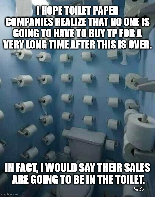 TP sales | I HOPE TOILET PAPER COMPANIES REALIZE THAT NO ONE IS GOING TO HAVE TO BUY TP FOR A VERY LONG TIME AFTER THIS IS OVER. IN FACT, I WOULD SAY THEIR SALES
 ARE GOING TO BE IN THE TOILET. NLG | image tagged in funny,humor,toilet humor,funny memes | made w/ Imgflip meme maker