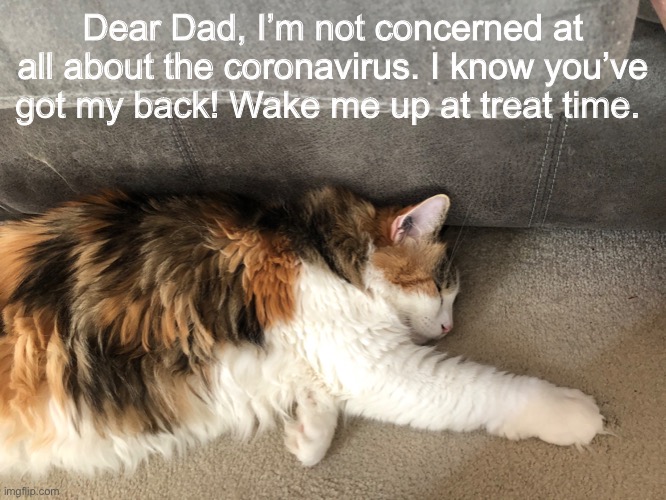 Coronavirus | Dear Dad, I’m not concerned at all about the coronavirus. I know you’ve got my back! Wake me up at treat time. | image tagged in stupid | made w/ Imgflip meme maker