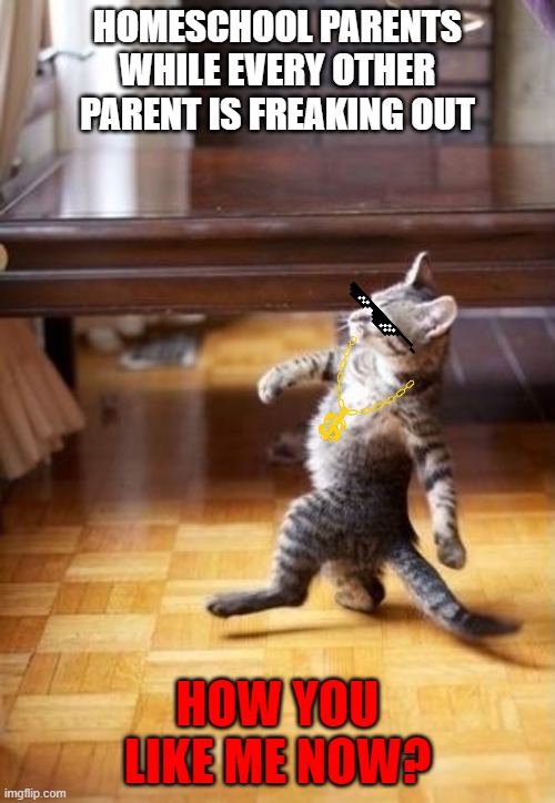 Cool Cat Stroll Meme | HOMESCHOOL PARENTS WHILE EVERY OTHER PARENT IS FREAKING OUT; HOW YOU LIKE ME NOW? | image tagged in memes,cool cat stroll | made w/ Imgflip meme maker