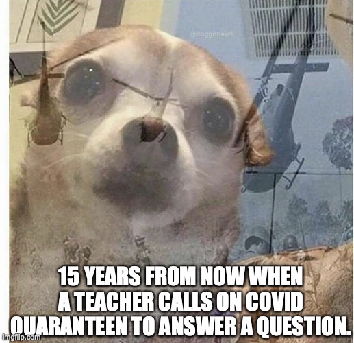 PTSD Chihuahua | 15 YEARS FROM NOW WHEN A TEACHER CALLS ON COVID QUARANTEEN TO ANSWER A QUESTION. | image tagged in ptsd chihuahua | made w/ Imgflip meme maker