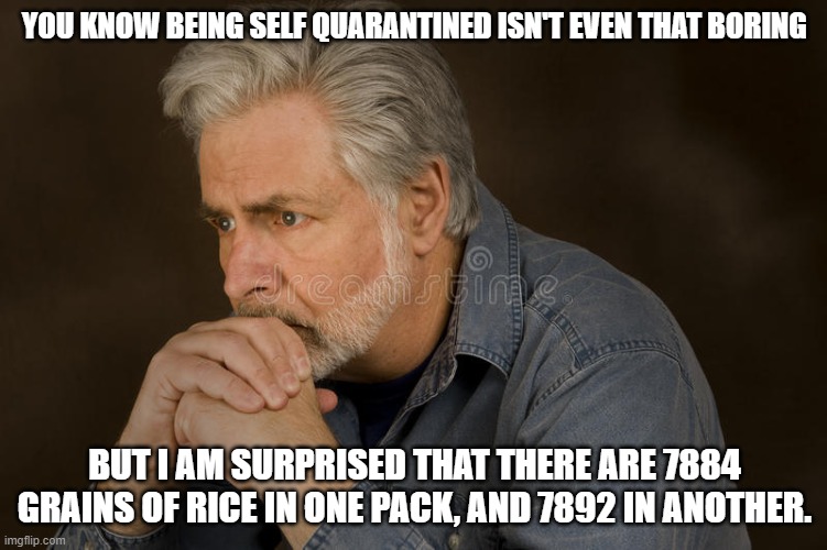 self quarantine | YOU KNOW BEING SELF QUARANTINED ISN'T EVEN THAT BORING; BUT I AM SURPRISED THAT THERE ARE 7884 GRAINS OF RICE IN ONE PACK, AND 7892 IN ANOTHER. | image tagged in deep thought,boring | made w/ Imgflip meme maker