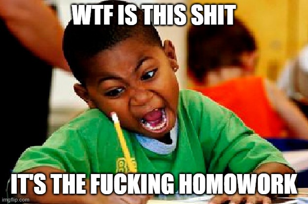 homework | WTF IS THIS SHIT; IT'S THE FUCKING HOMOWORK | image tagged in homework | made w/ Imgflip meme maker